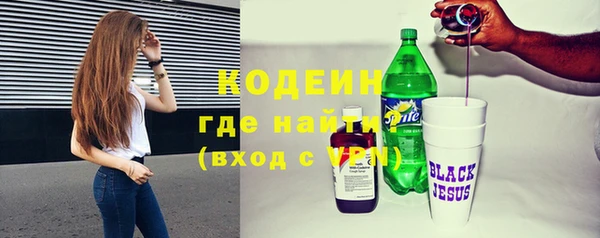 индика Карпинск