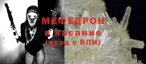 индика Карпинск