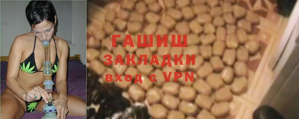 индика Карпинск