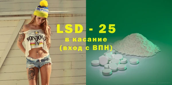 индика Карпинск