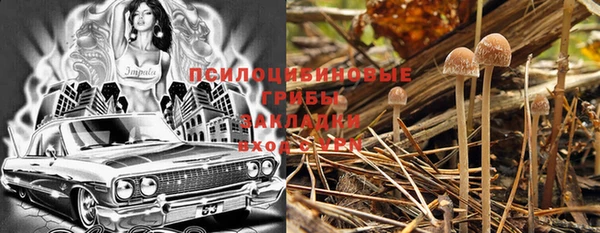 индика Карпинск