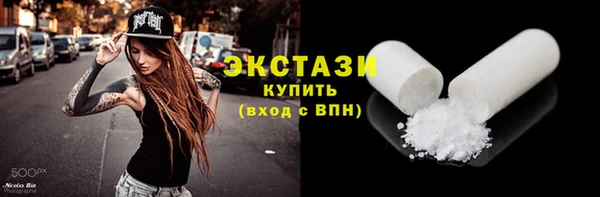 индика Карпинск