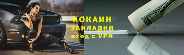 индика Карпинск