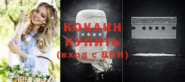 индика Карпинск