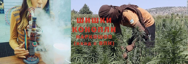 индика Карпинск
