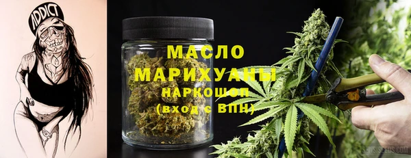 индика Карпинск