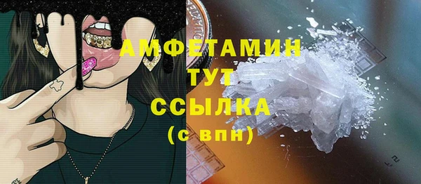 индика Карпинск