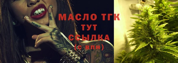 индика Карпинск